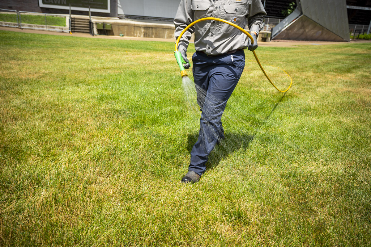 Understanding Pre-emergent Vs. Post-emergent Weed Control